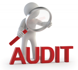 Konsultan Audit Bali
