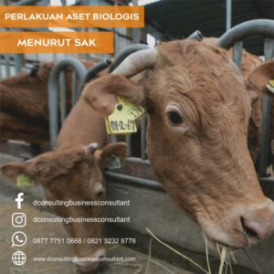 Konsultan, konsultan pajak, konsultan pajak surabaya